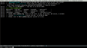 irssi 0.8.15 Channel View