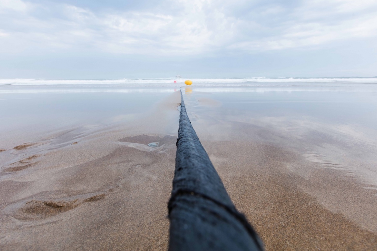 Microsoft restores its cloud after cuts in submarine cables of the Red Sea