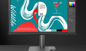 BenQ launches the PD2732U monitor for professionals: 27 inches, 4K resolution and Thunderbolt 4 connectivity